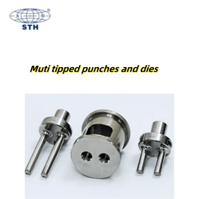 Китай TIANHE Muti Tipped High Capacity Punch and Die Coating Chrome Pharmactical поставщик