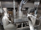 Шипучая машина обжатия планшета камфоры витамина молока поставщик
